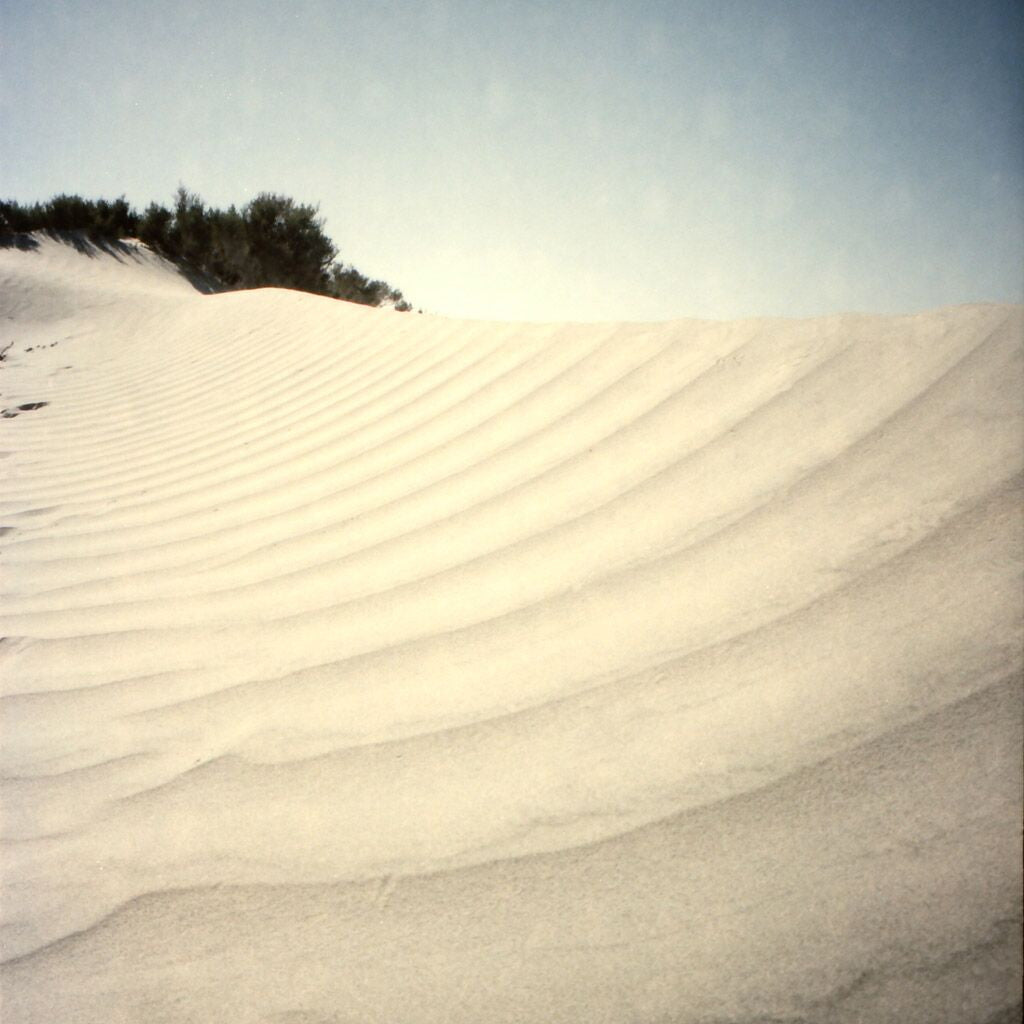 Ribbed Wonder, Photograph by Ribbed Wonder Tappan