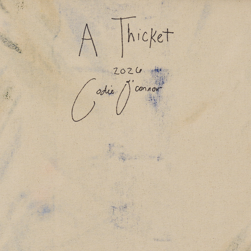 Back of a canvas with the title A Thicket year 2026 and artists signature Codie OConnor handwritten