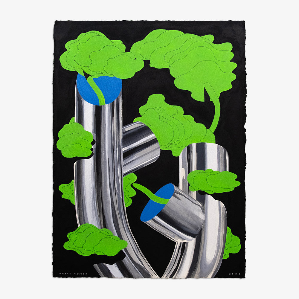 Work on Paper by Bryce Wymer
