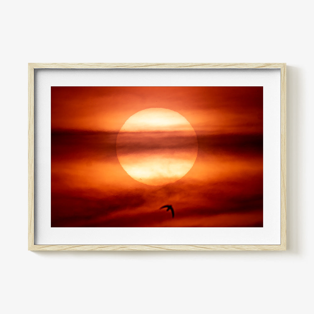 Photograph by Brian Merriam