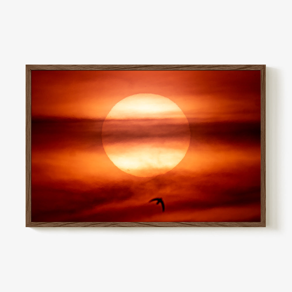 Photograph by Brian Merriam