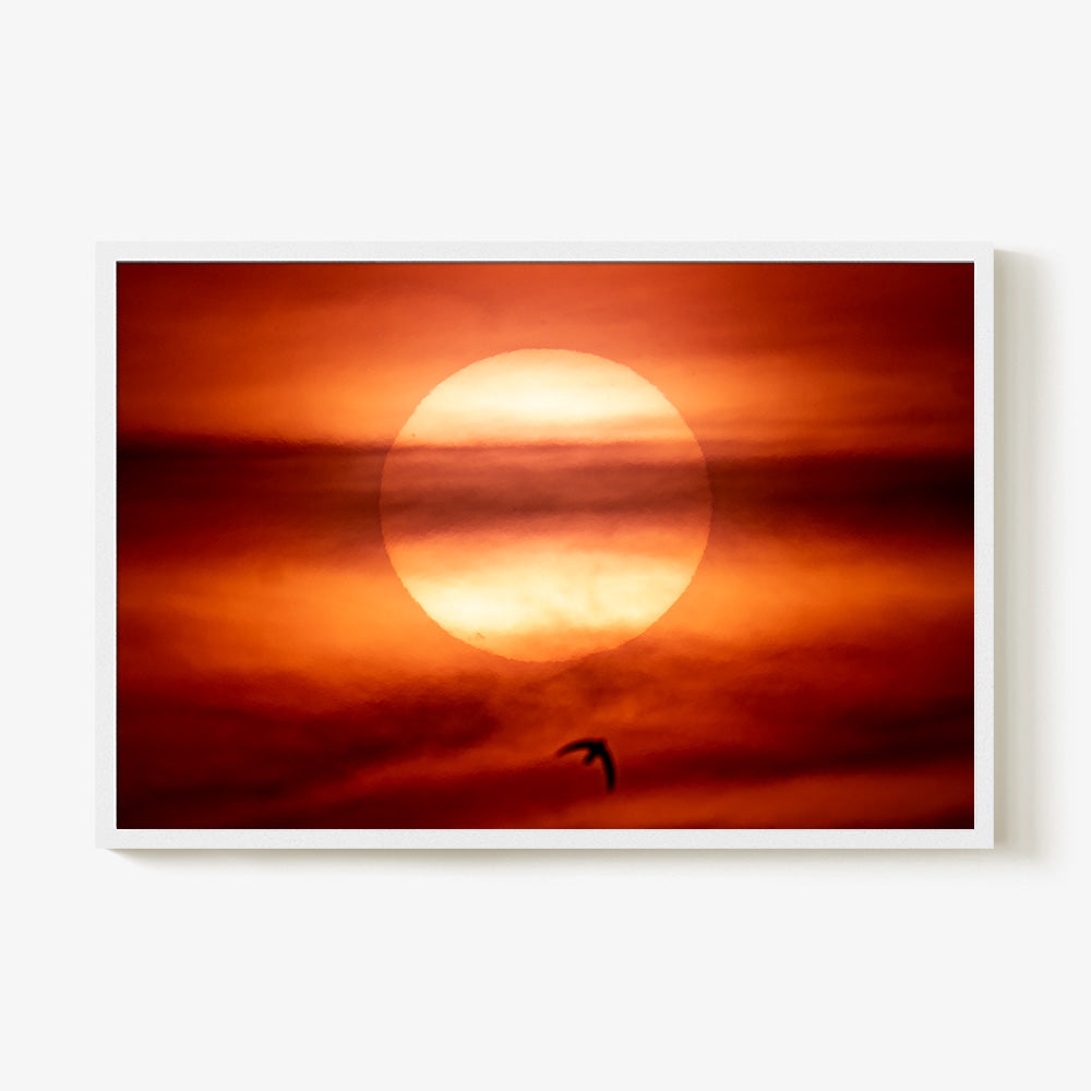 Photograph by Brian Merriam