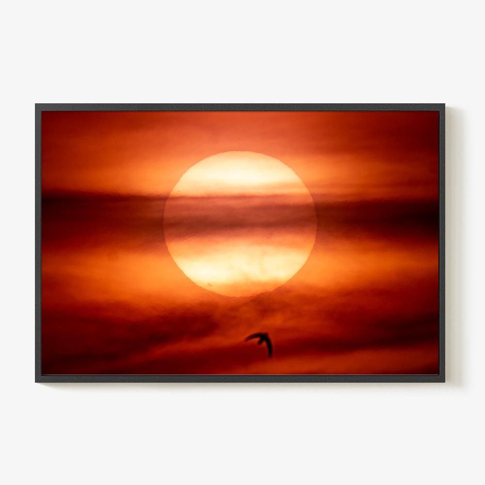 Photograph by Brian Merriam