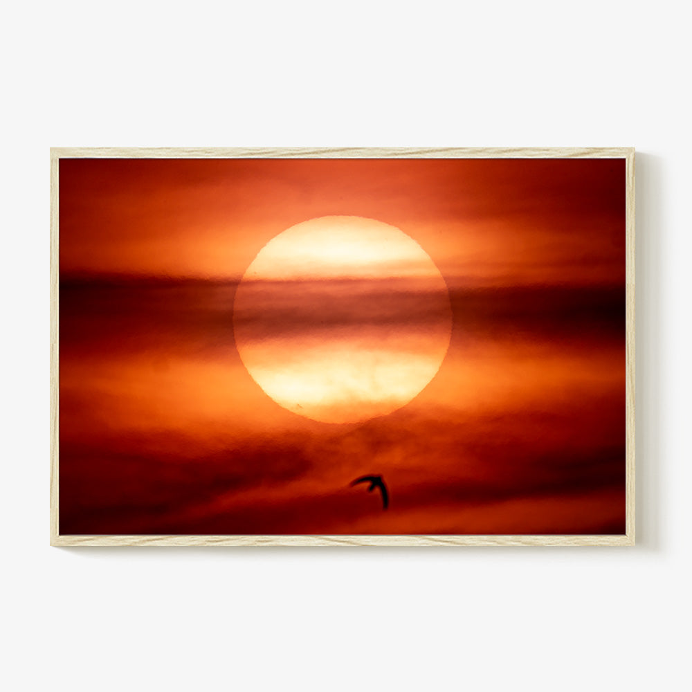 Photograph by Brian Merriam