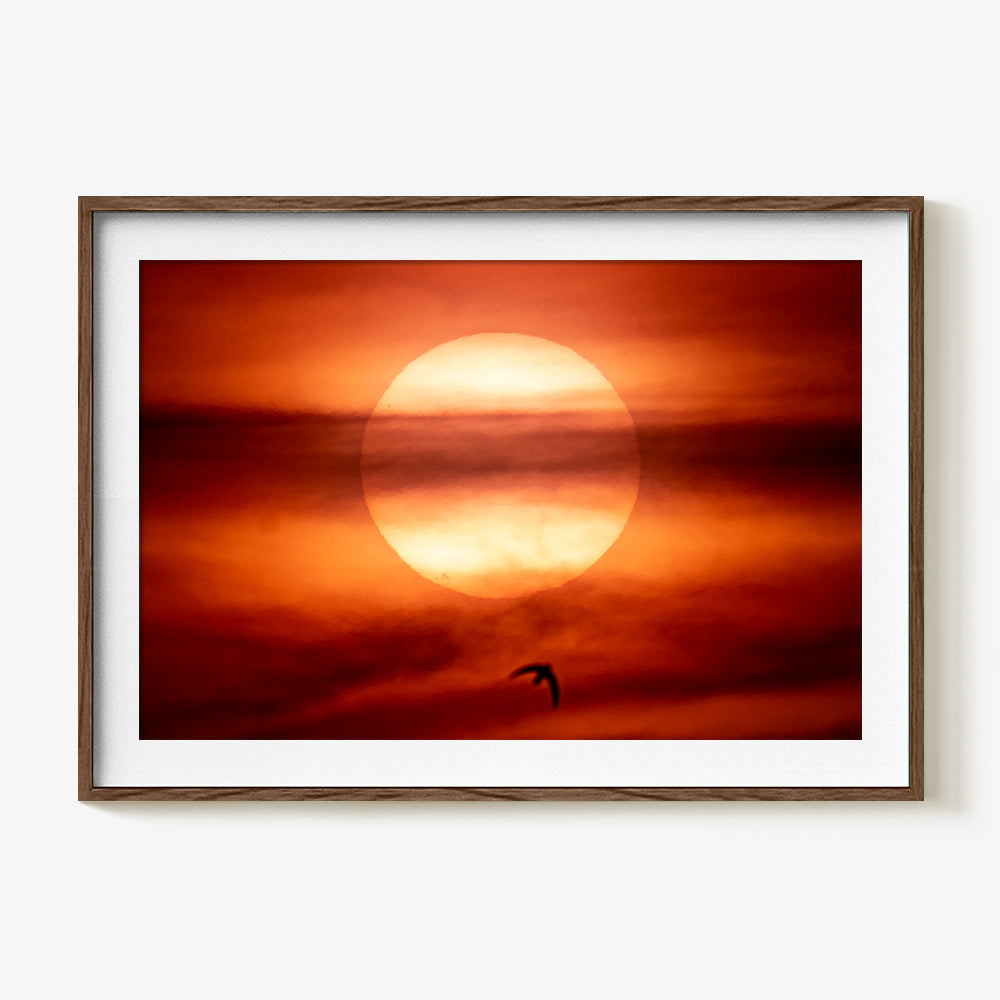 brian merriam 写真集　限定プリント付き An-Island-of-Fire-in-a-Sea-of-