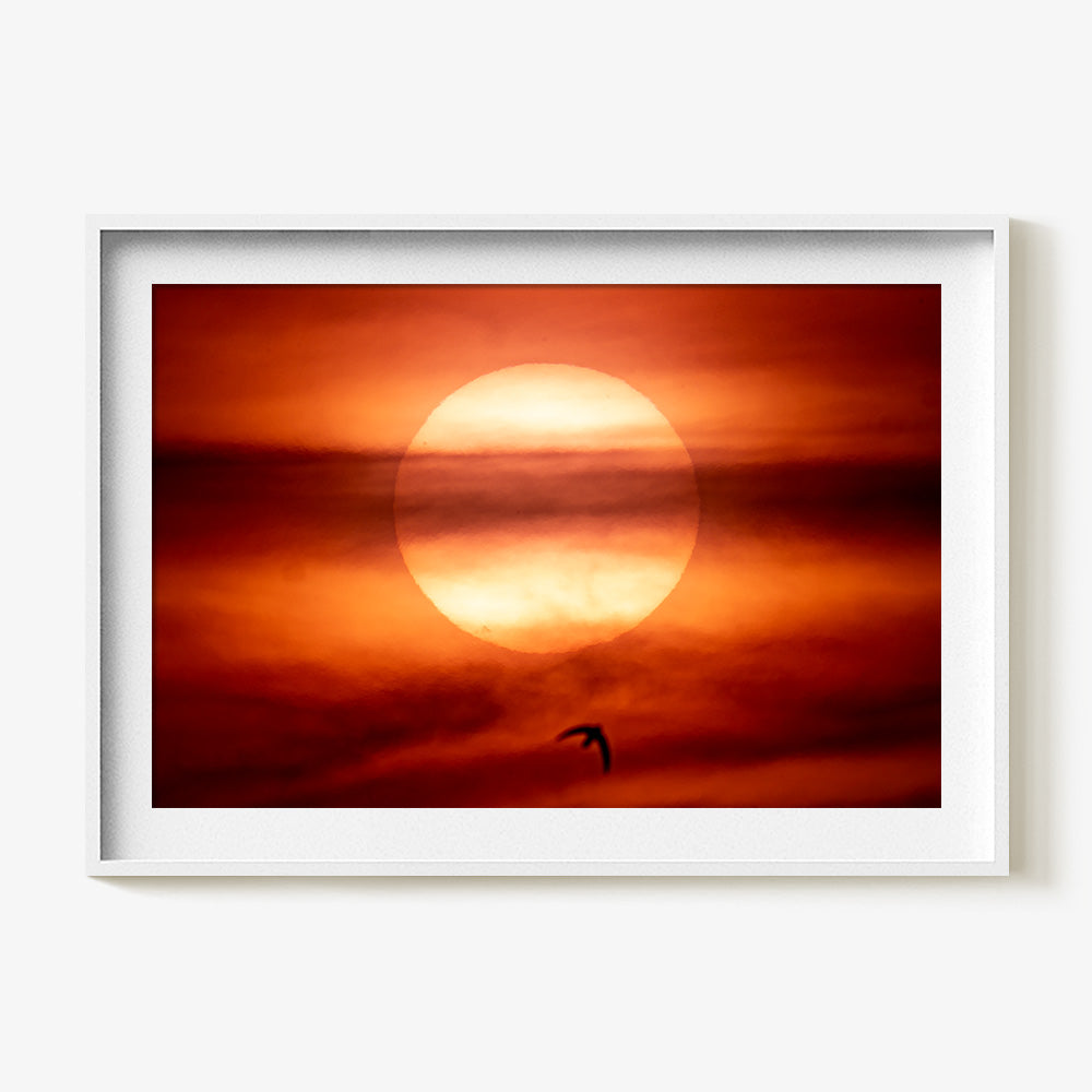 Photograph by Brian Merriam