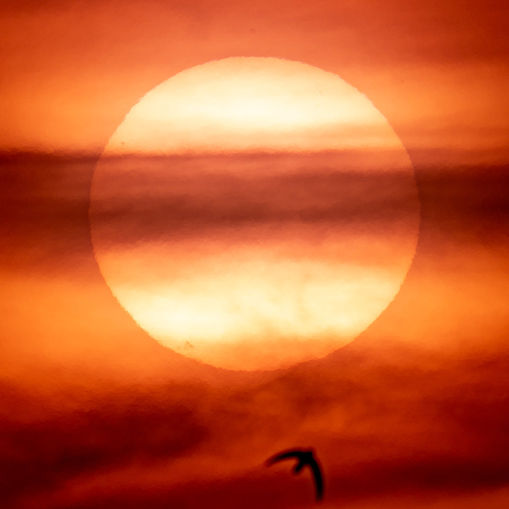 Photograph by Brian Merriam