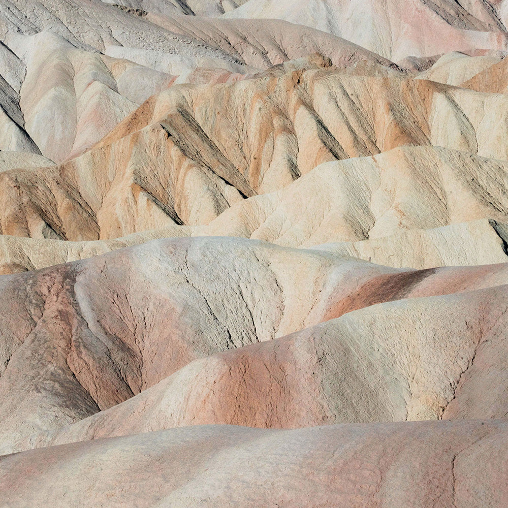 Photograph by Brian Merriam