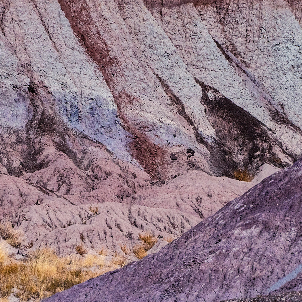 Photograph by Brian Merriam