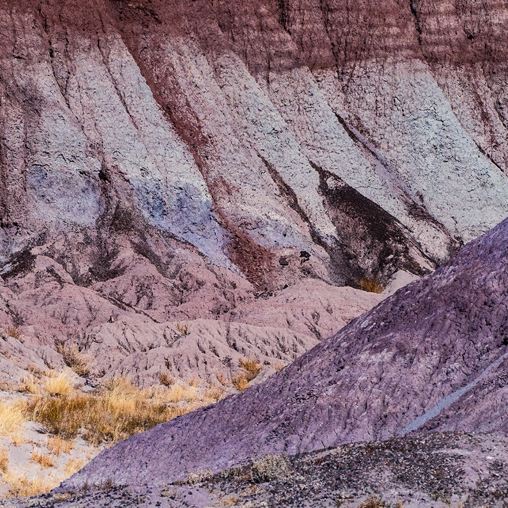 Photograph by Brian Merriam