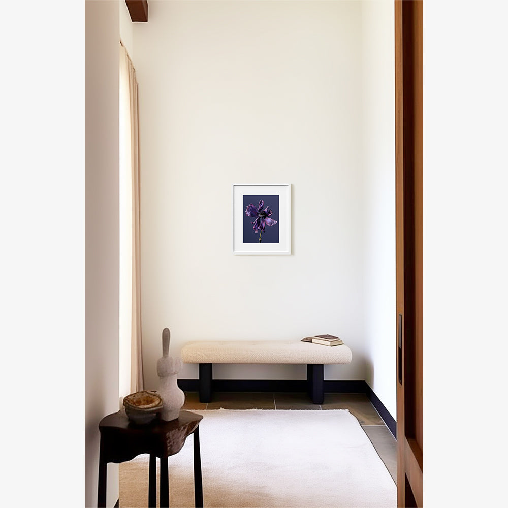 Photography by Jacques Brun