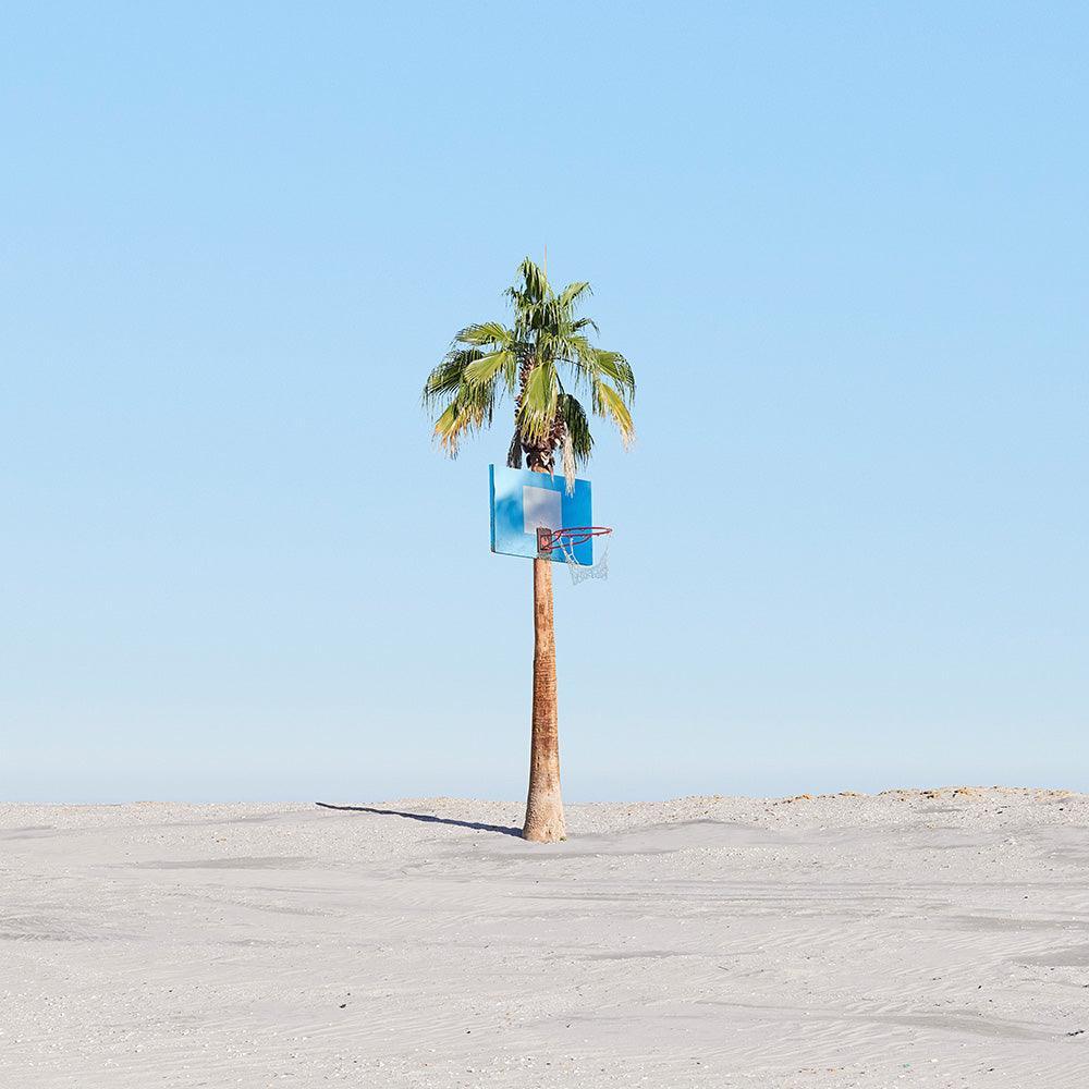 Photograph by James Needham