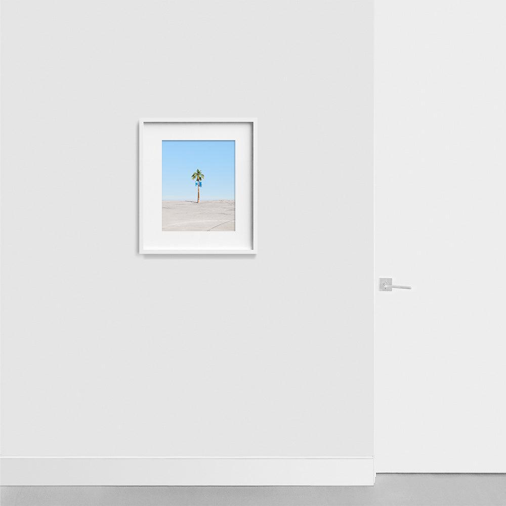 Photograph by James Needham