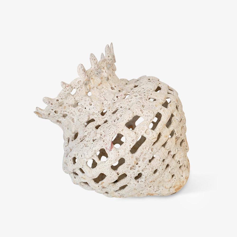 Sculpture by Chie Fujii
