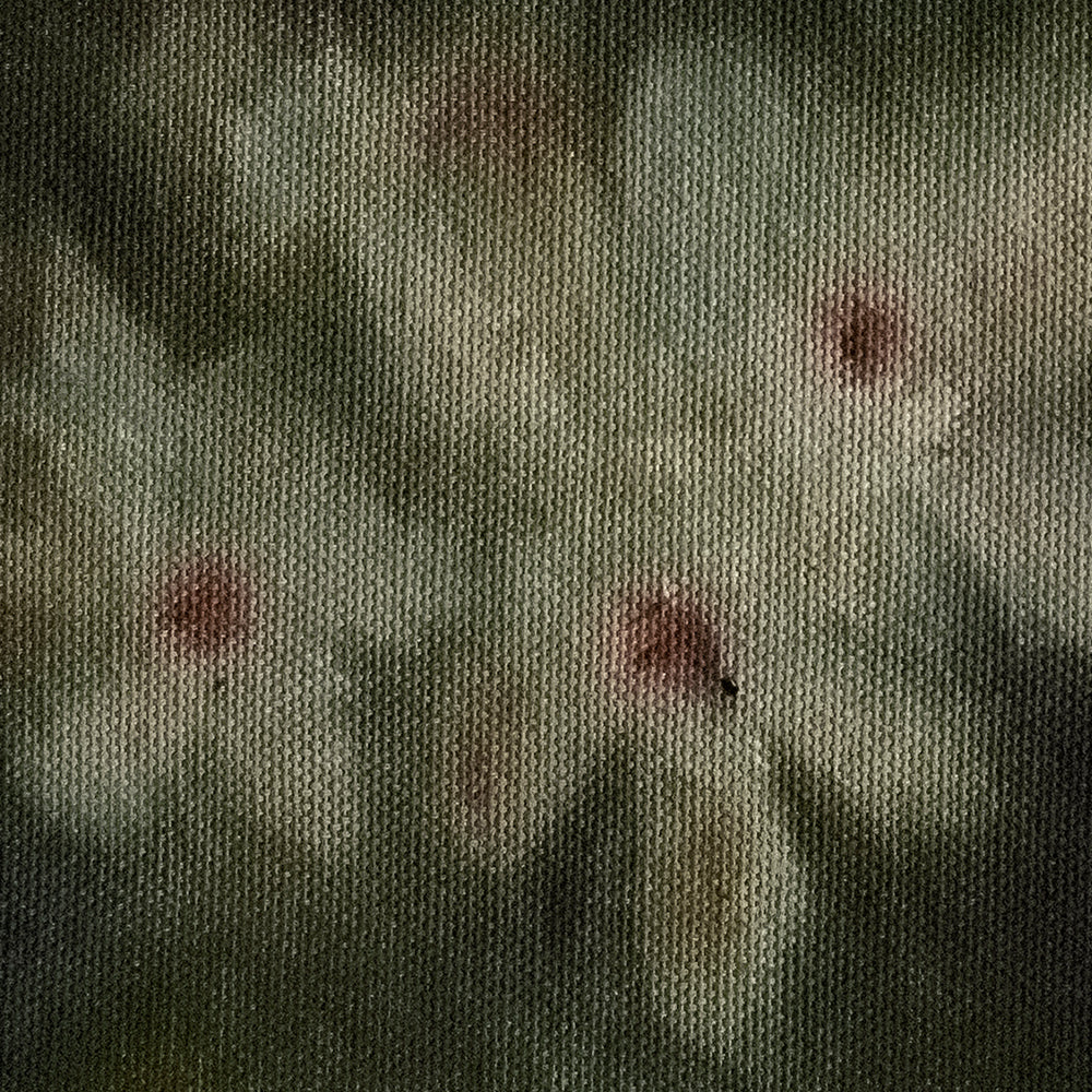 Painting by Emily Tingey