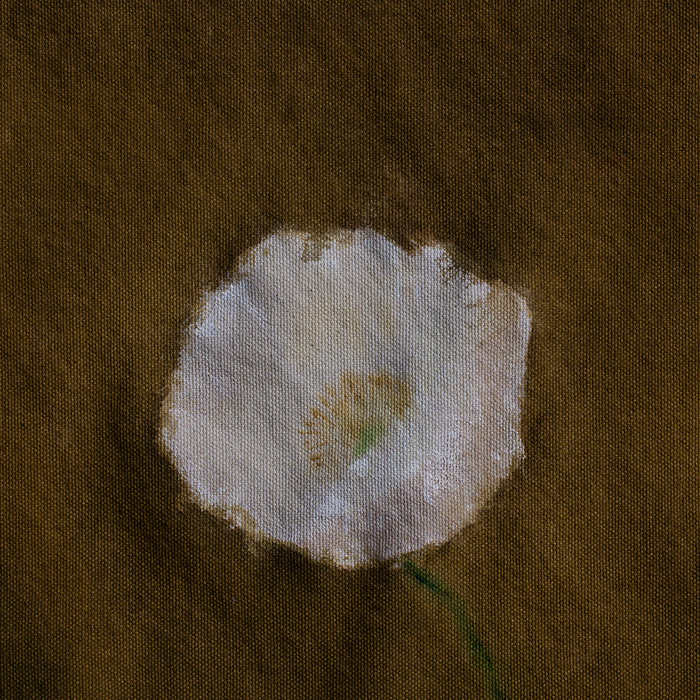 Painting by Emily Tingey
