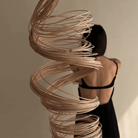 CCAPDP02.gif?v=1698184351&width=200