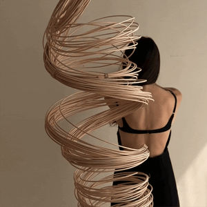 CCAPDP02.gif?v=1698184351&width=300