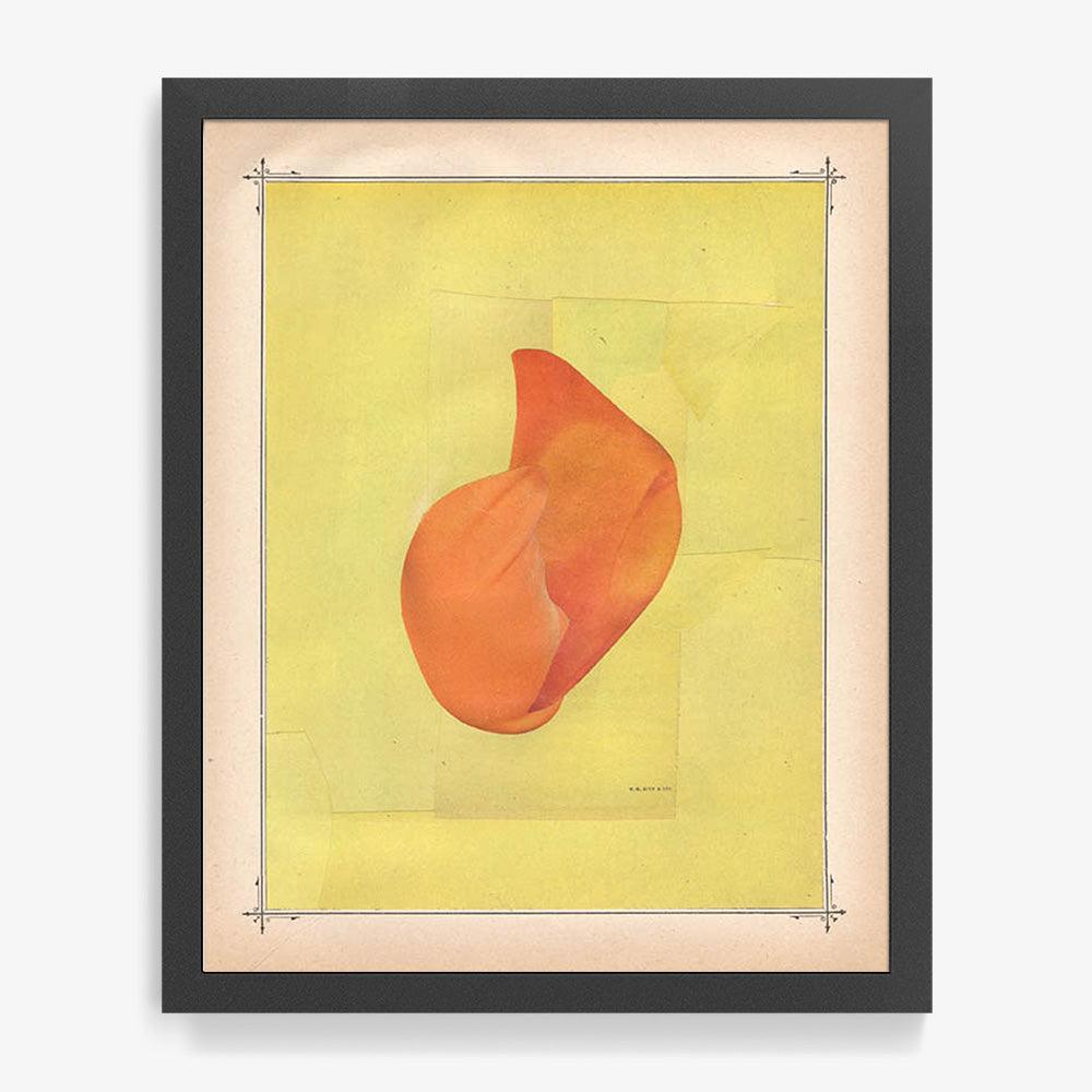 Print by Michael DeSutter
