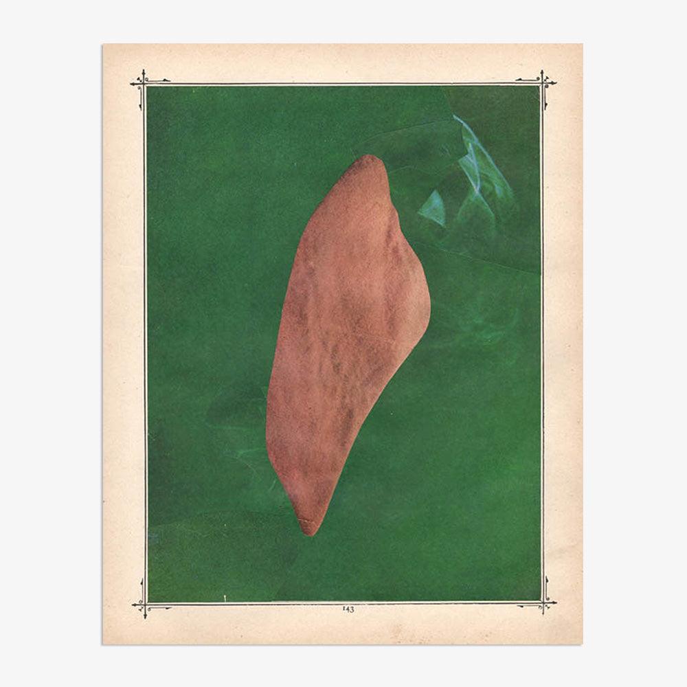 Print by Michael DeSutter
