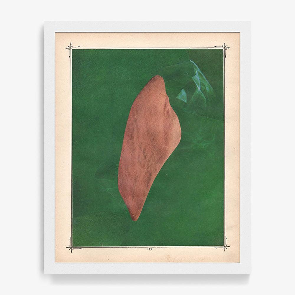 Print by Michael DeSutter