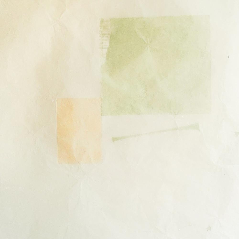 Work on Paper by Catherine Lucky Chang