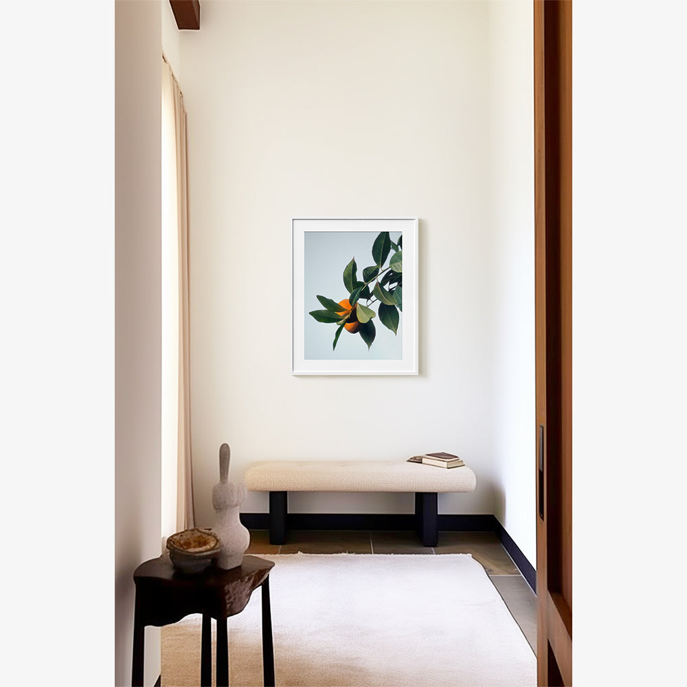 Photography by Jacques Brun