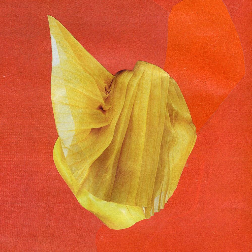 Collage by Michael DeSutter
