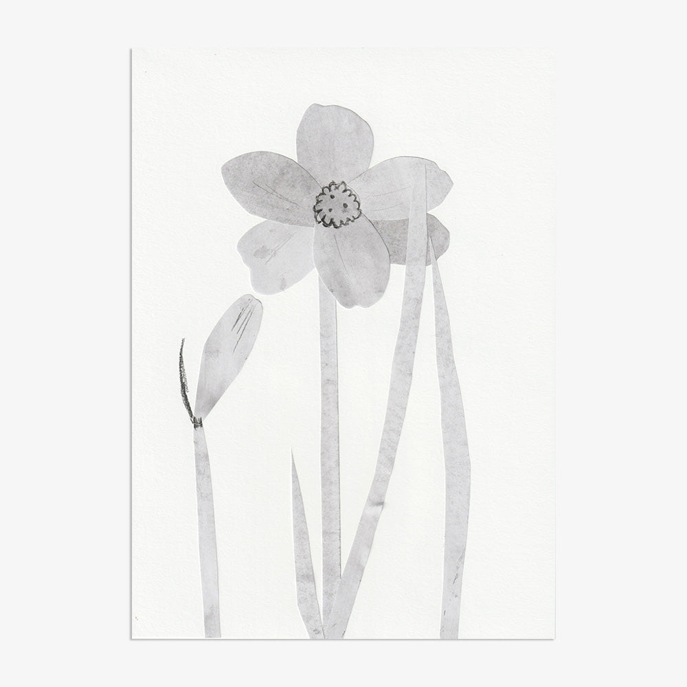 Collage by Johanna Tagada Hoffbeck