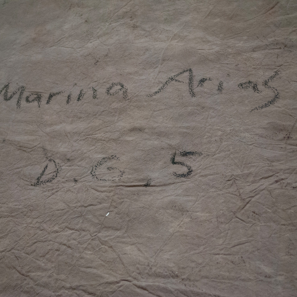 Painting by Marina Arias