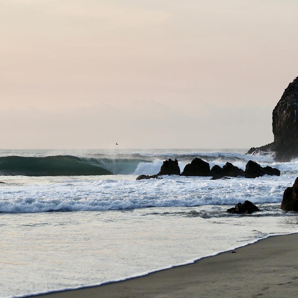 Photograph by Isaac Zoller