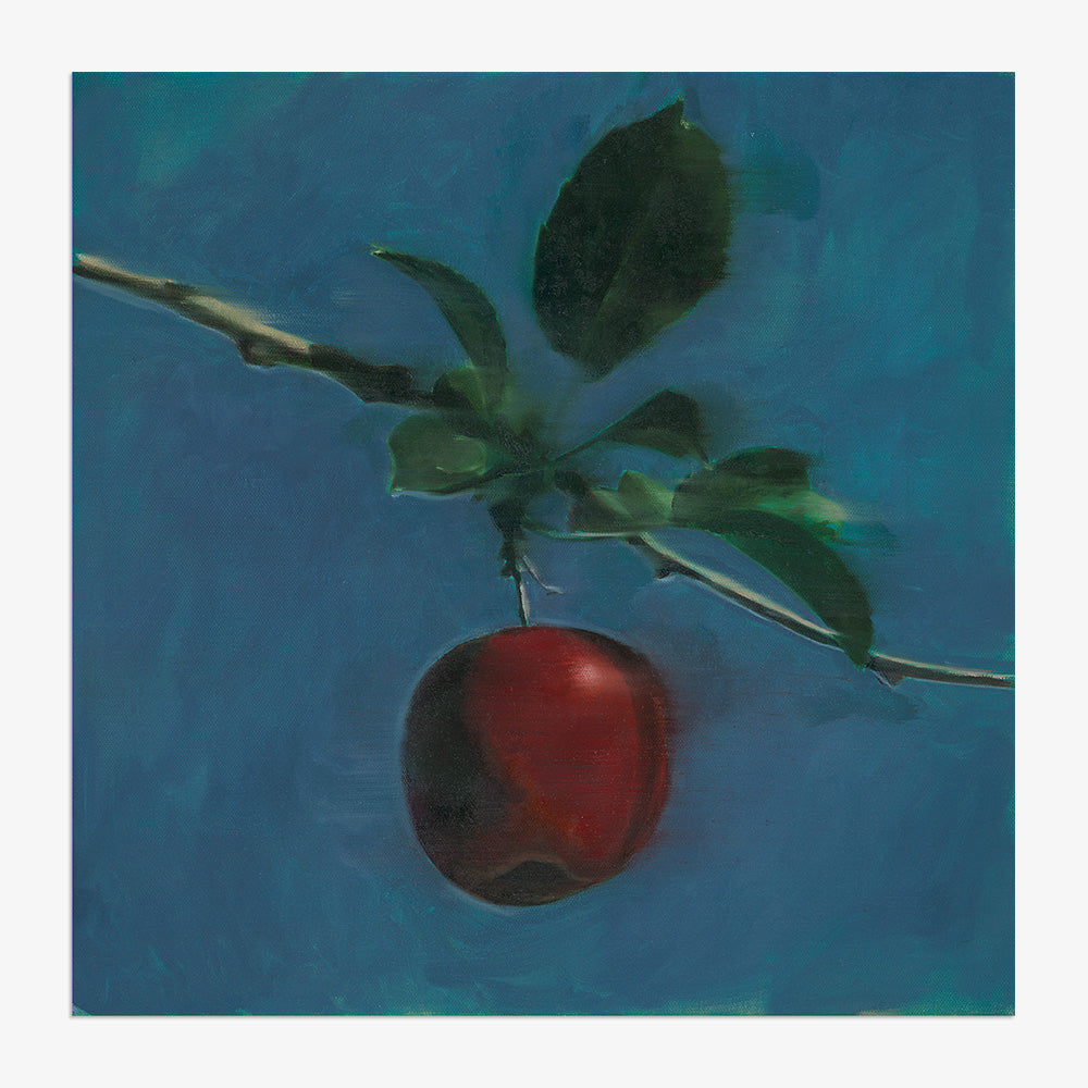 Print by Jeanette Getrost