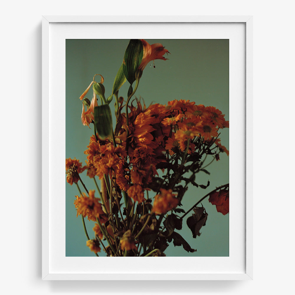 Photograph by Katie Burdon