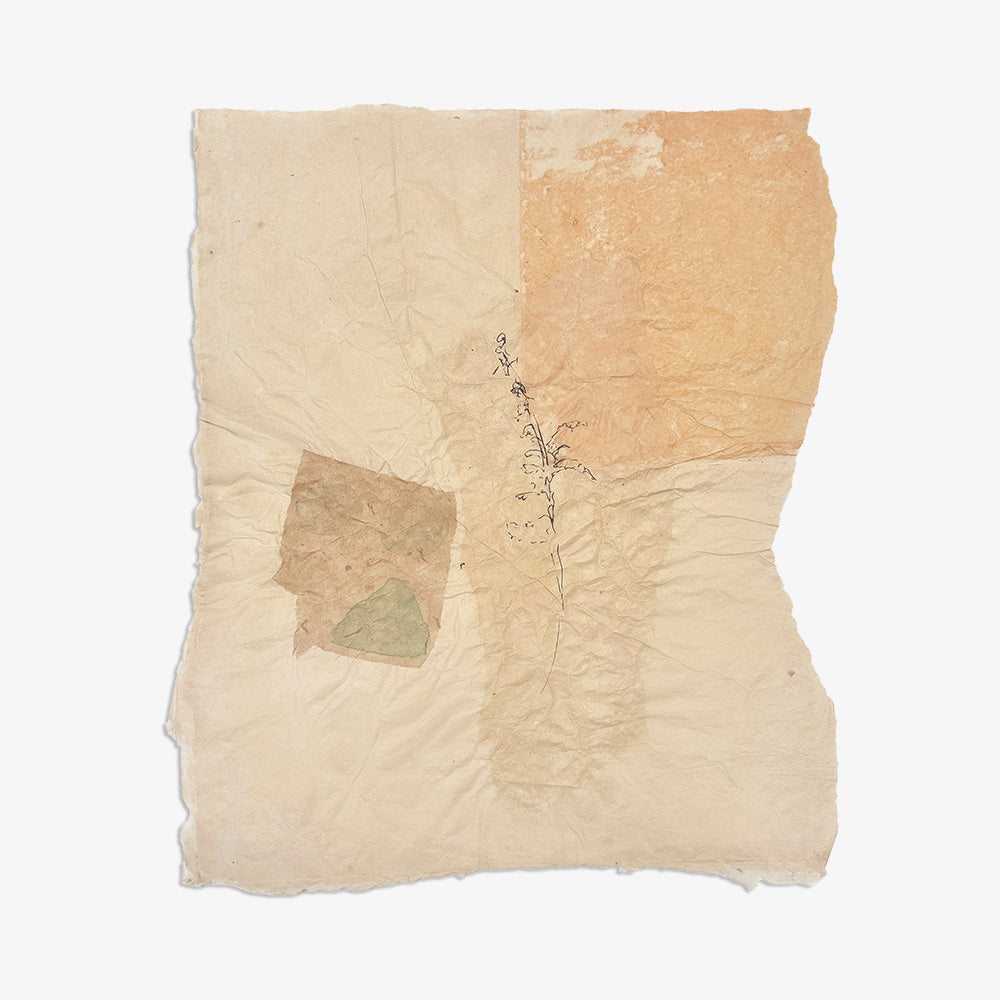 Work on Paper by Catherine Lucky Chang