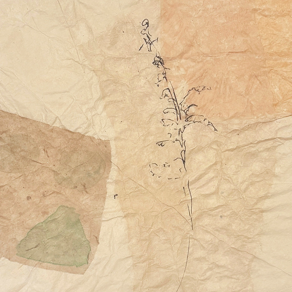 Work on Paper by Catherine Lucky Chang