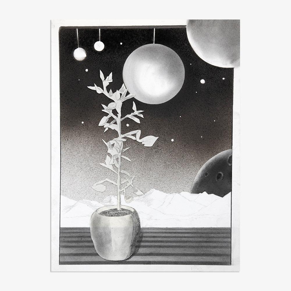 Drawing by Mathew Tucker