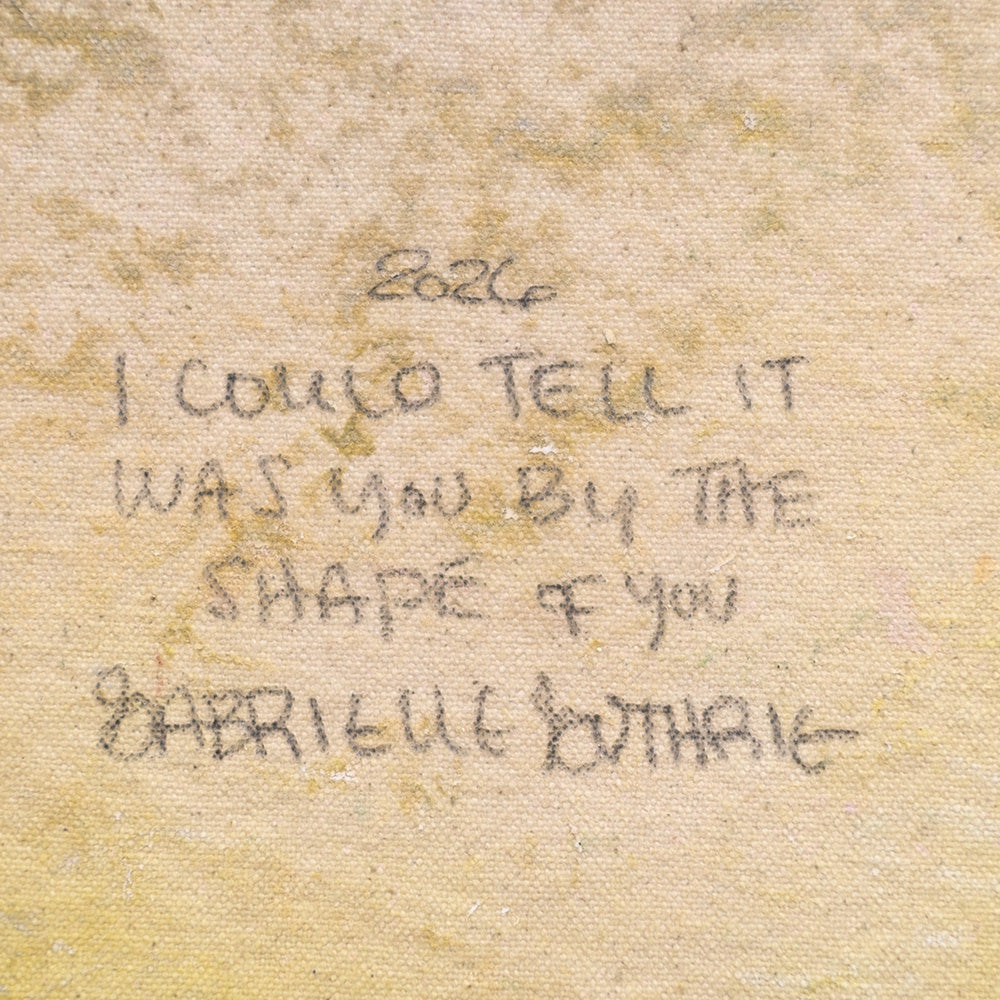 I Could Tell It Was You By The Shape of You