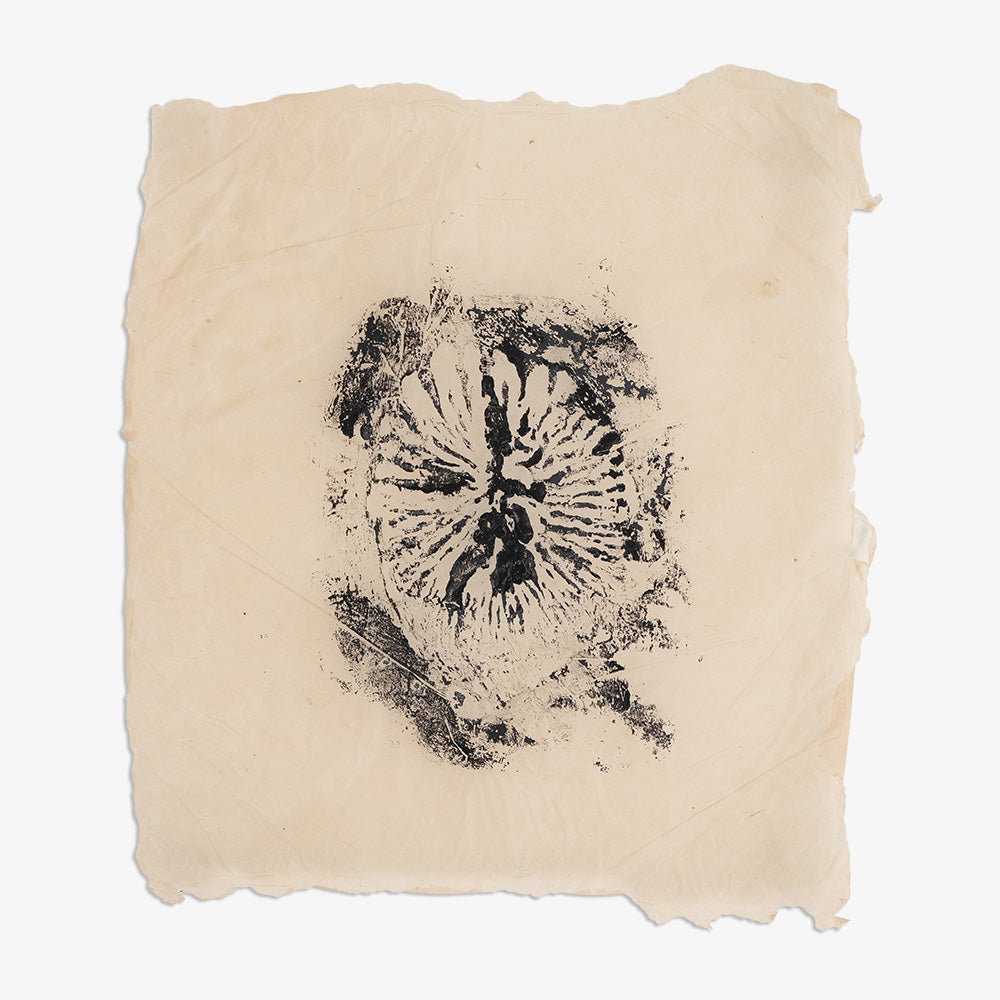 Work on Paper by Catherine Lucky Chang