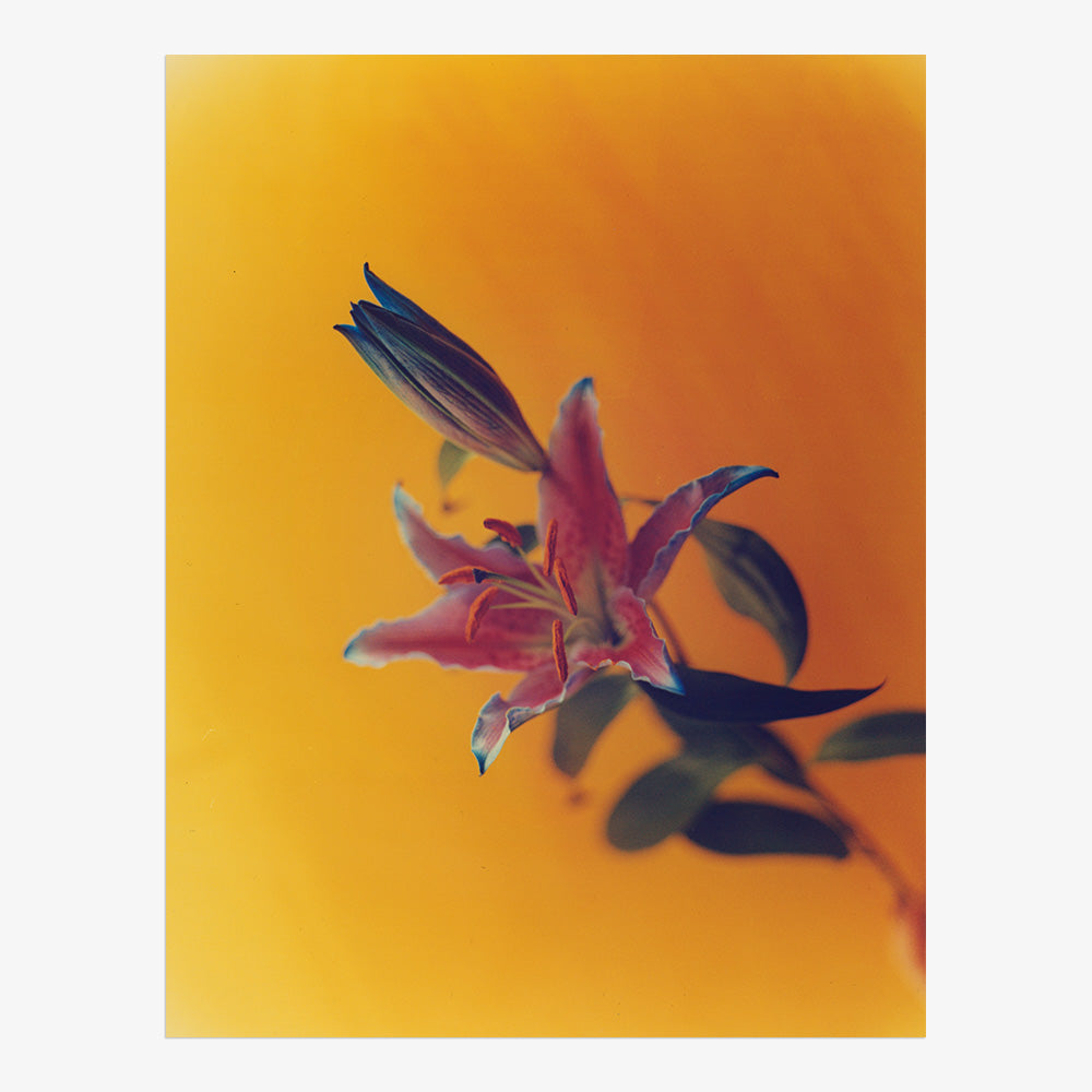 Photograph by Katie Burdon