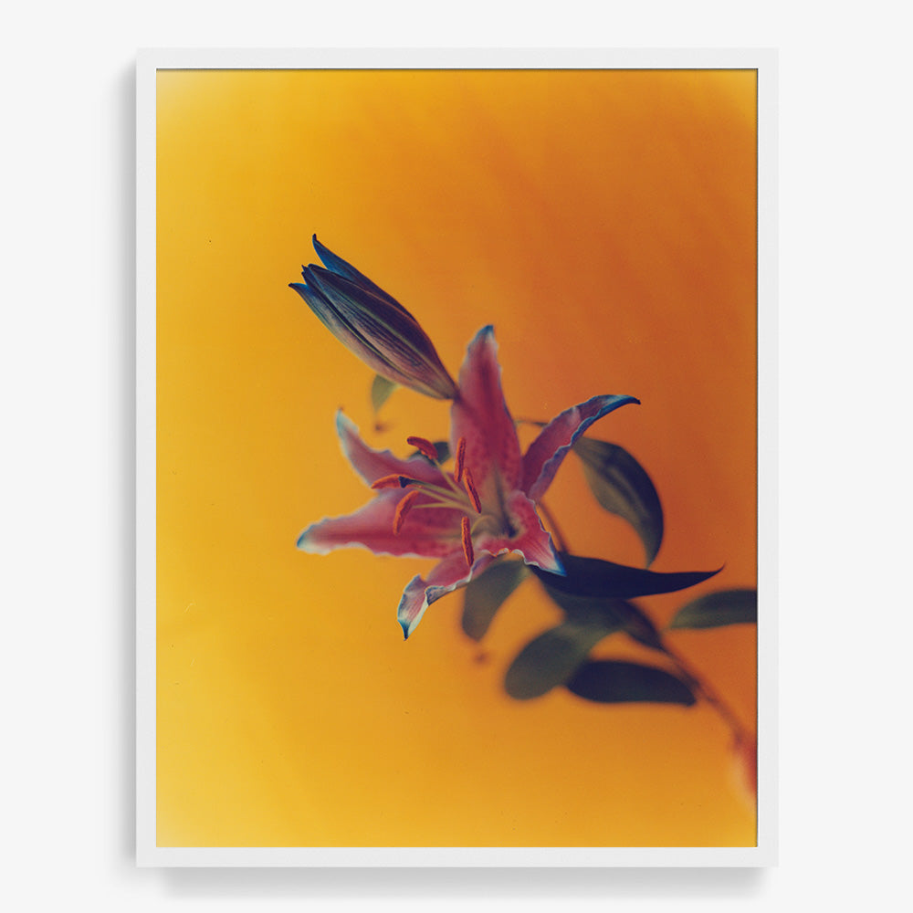 Photograph by Katie Burdon
