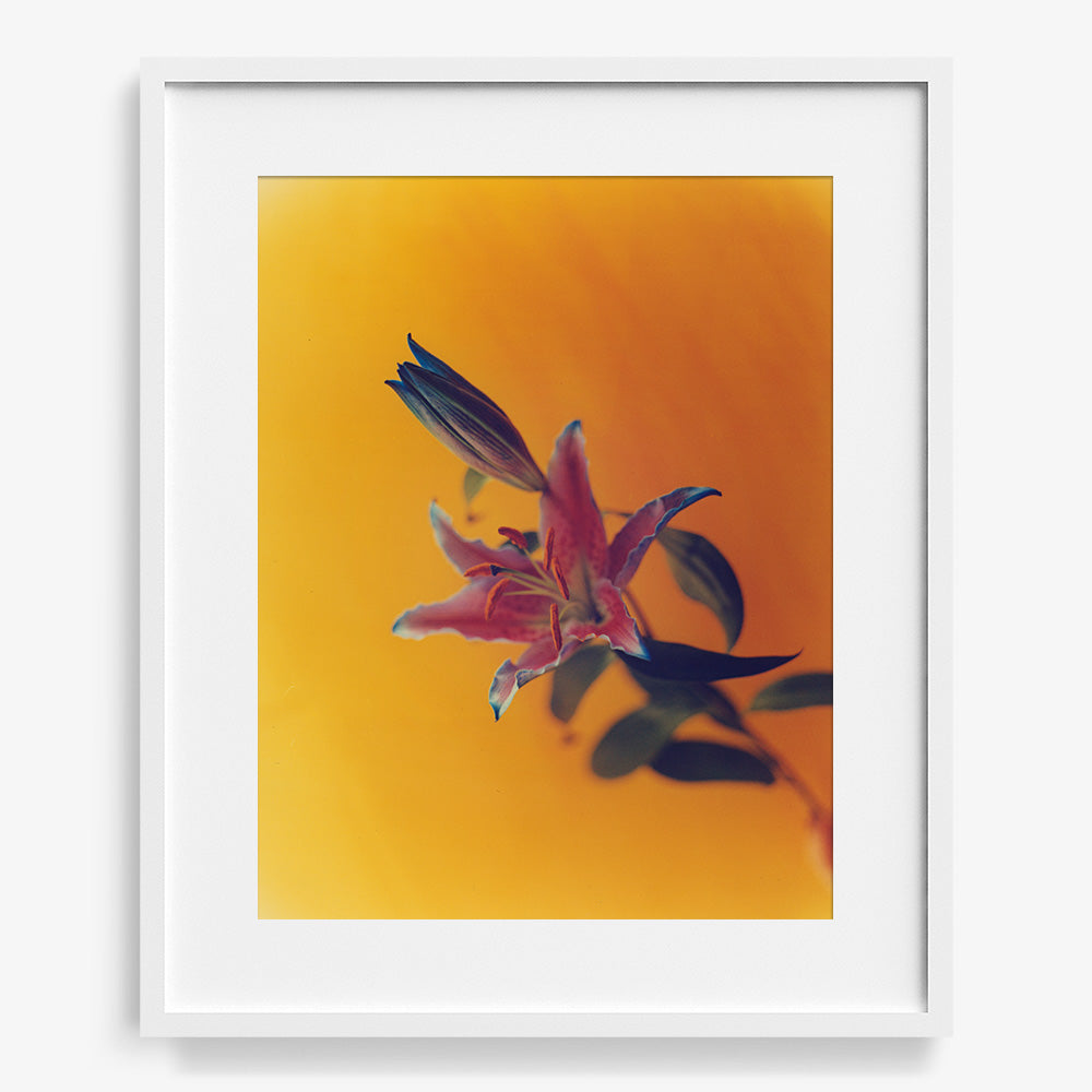 Photograph by Katie Burdon
