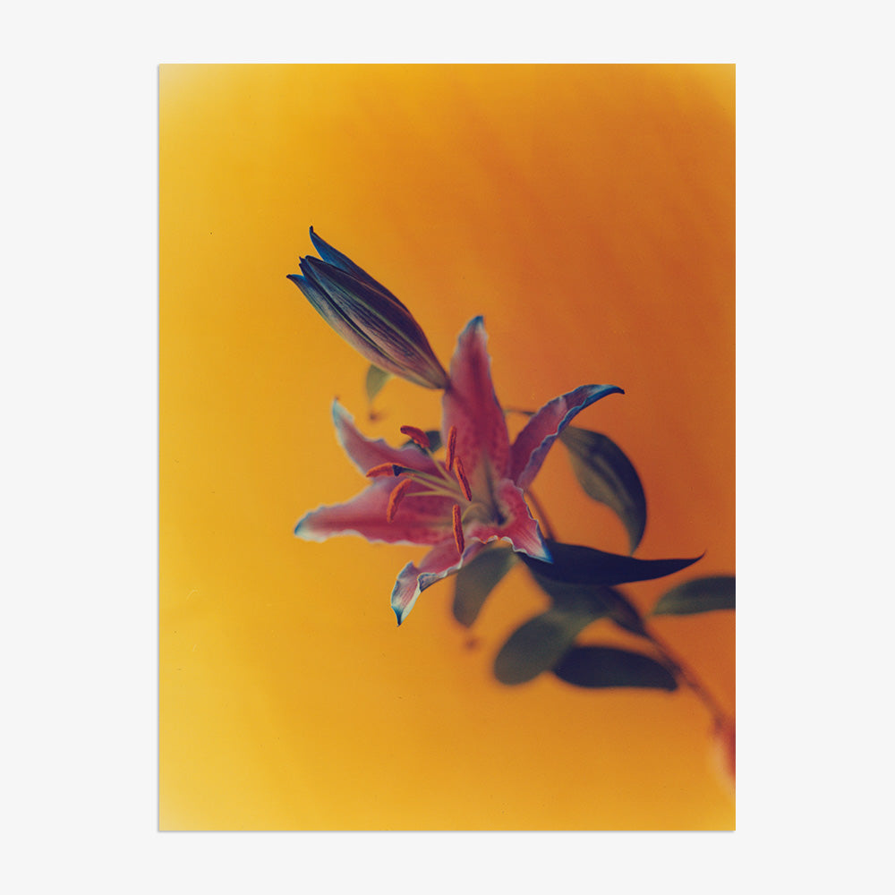 Photograph by Katie Burdon
