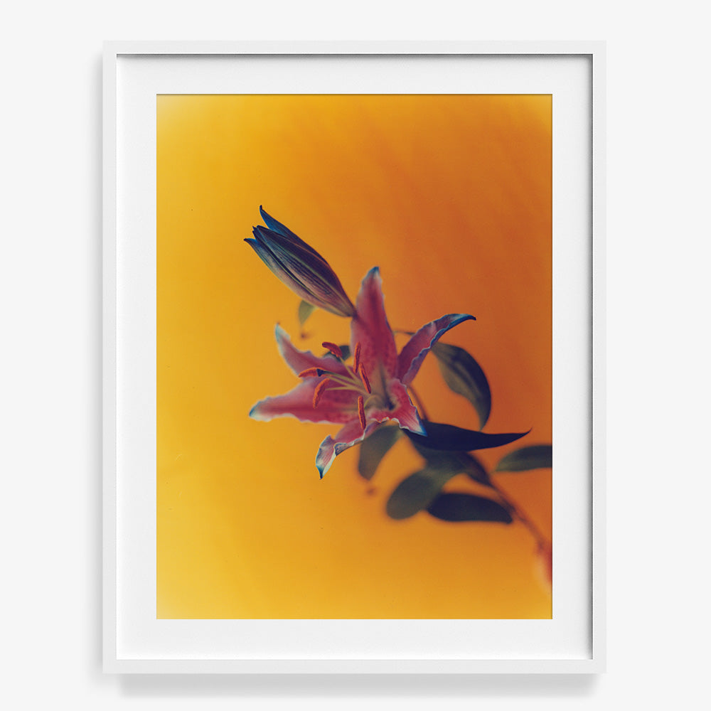 Photograph by Katie Burdon