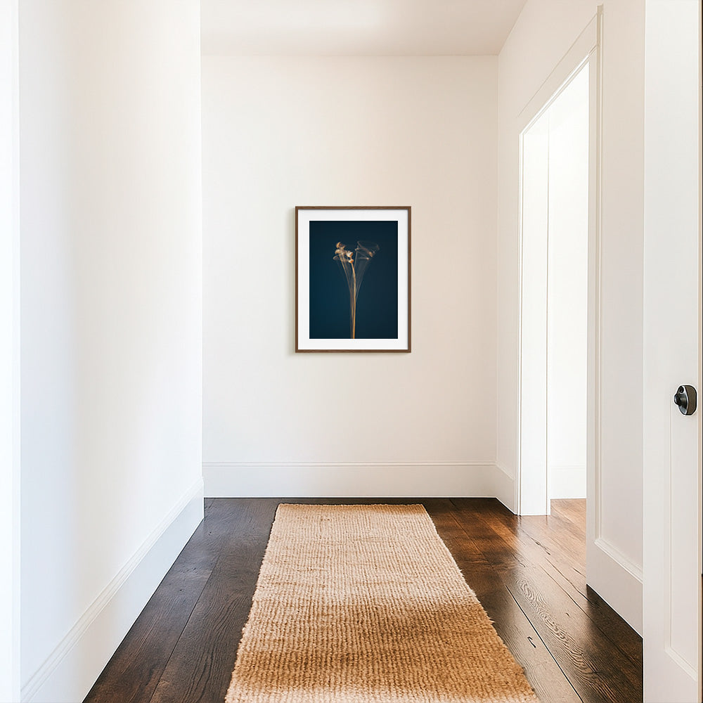 Photograph by Jan Prengel