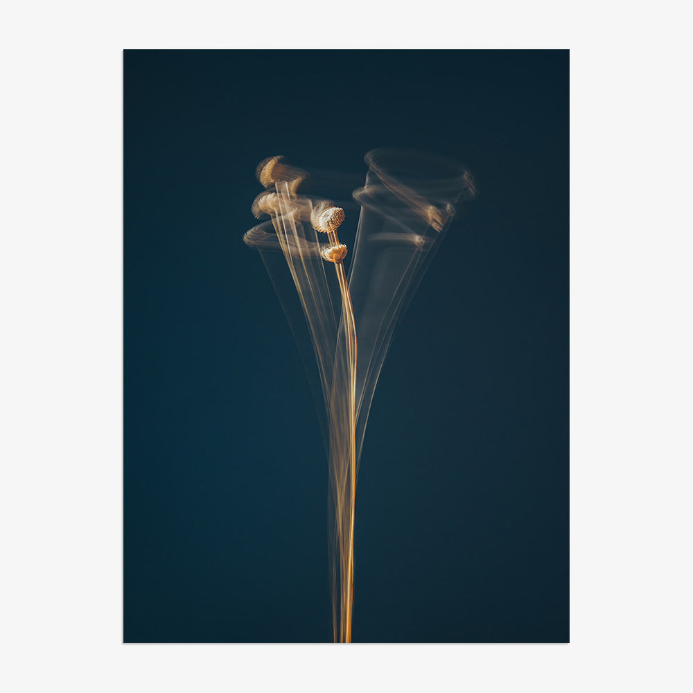 Photograph by Jan Prengel
