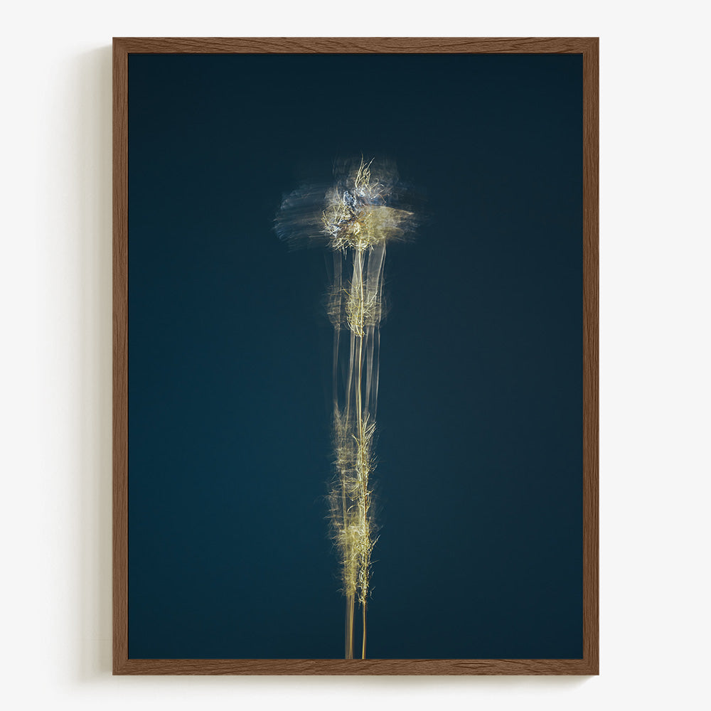 Photograph by Jan Prengel