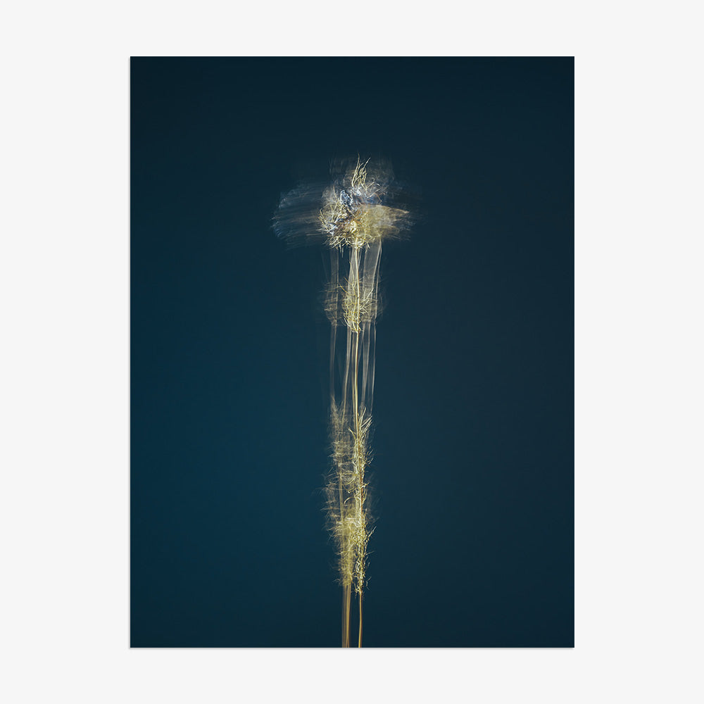 Photograph by Jan Prengel