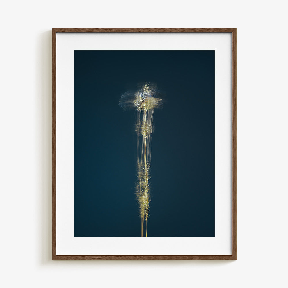 Photograph by Jan Prengel