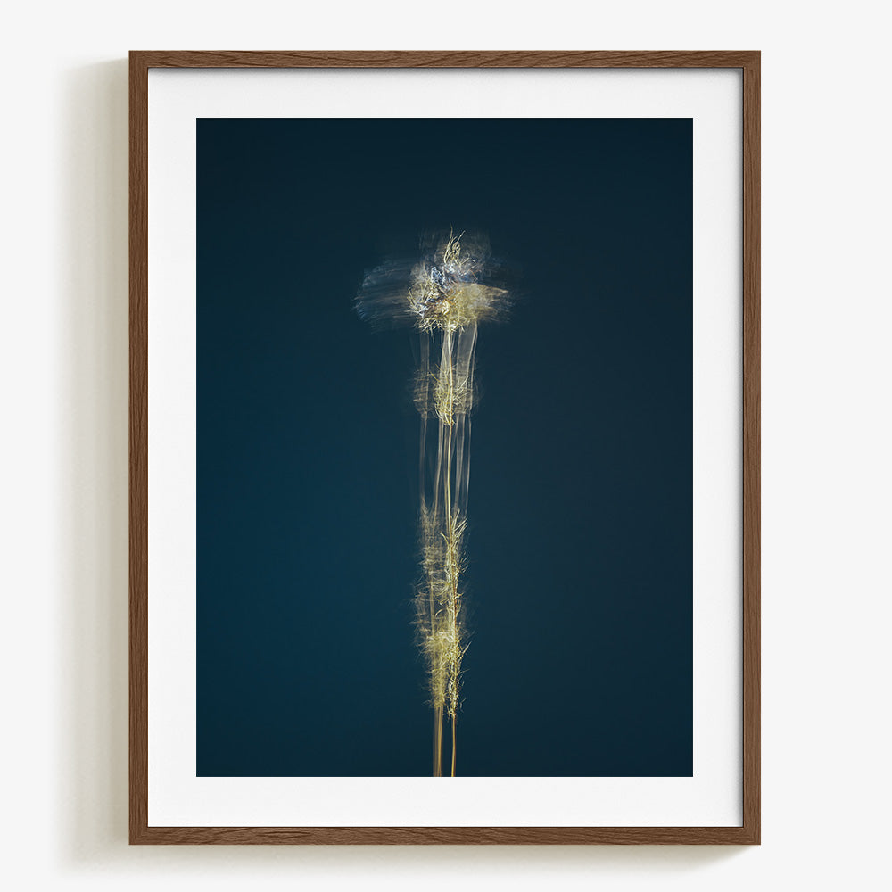 Photograph by Jan Prengel