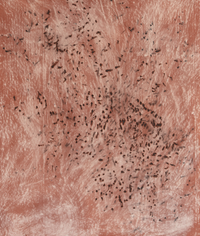 Textured terracotta-colored background featuring a concentrated area of dark small scattered marks